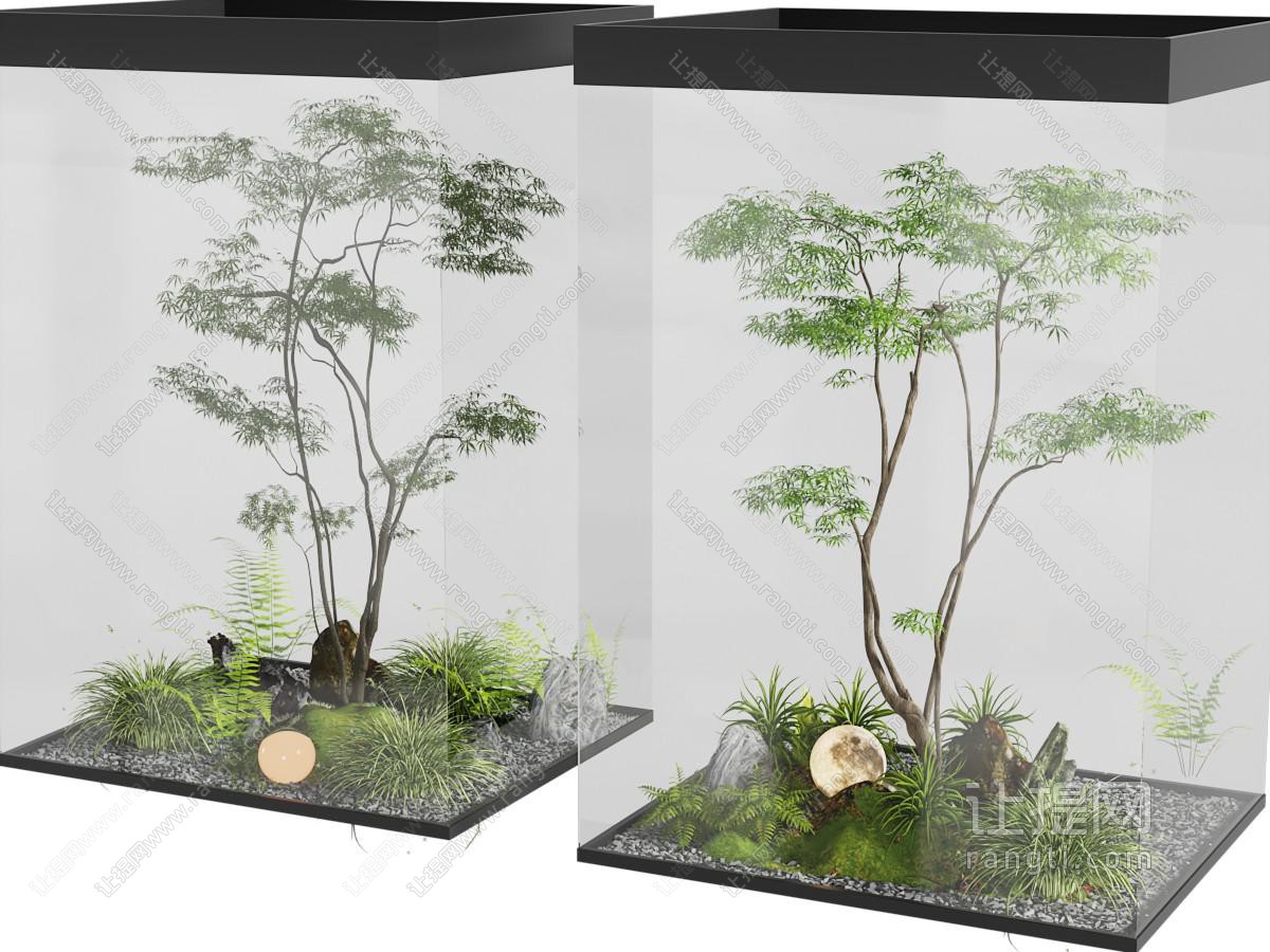 现代室内树木 花草 石子景观园艺小品