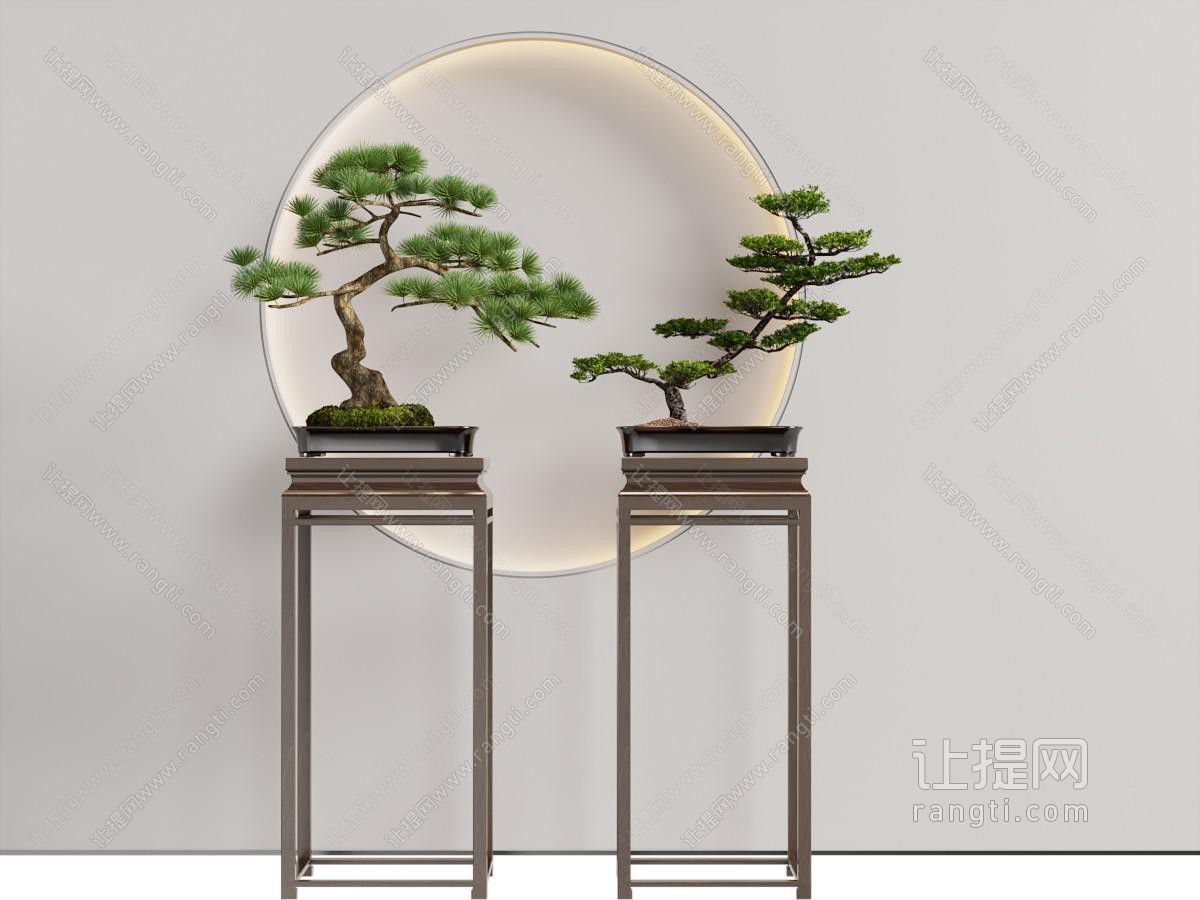 新中式花架松树盆景盆栽植物