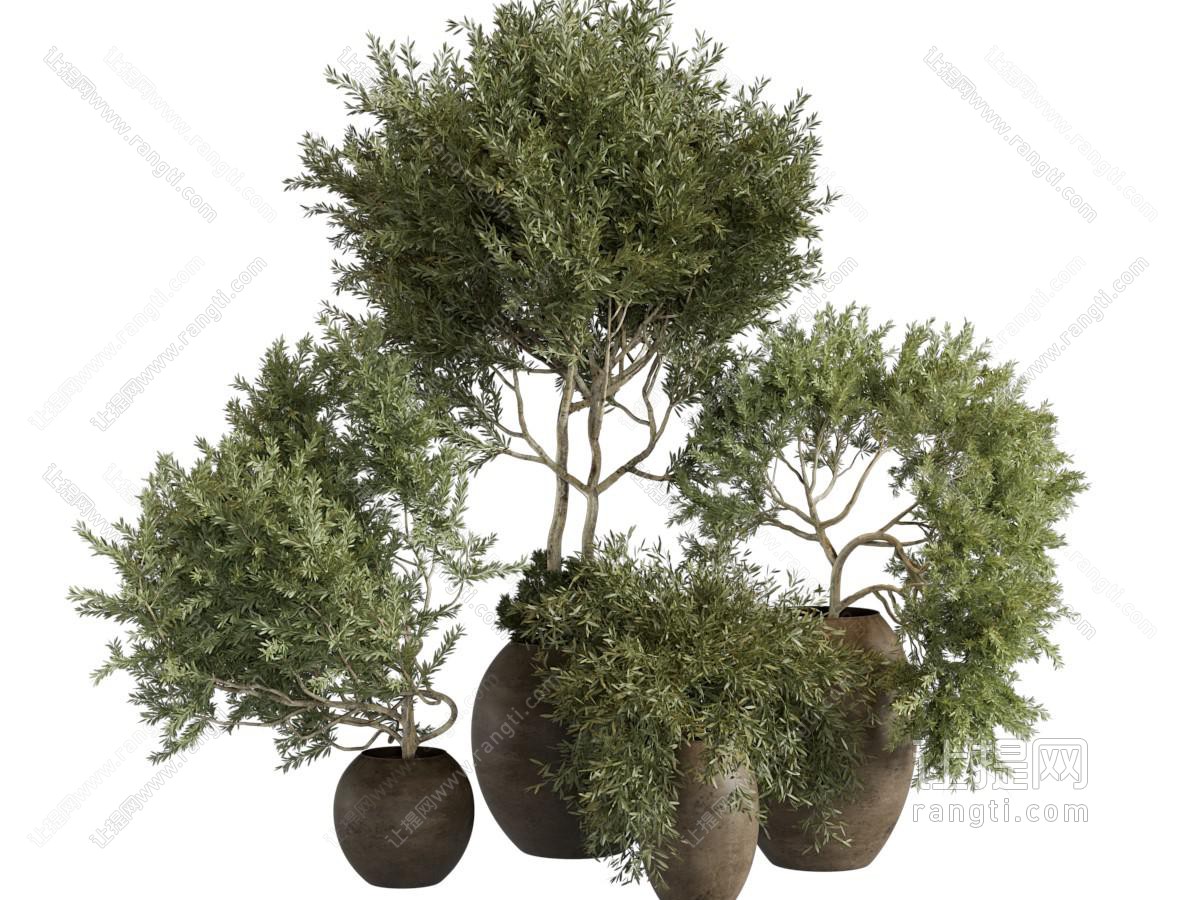 现代陶艺花盆盆景盆栽树木 植物
