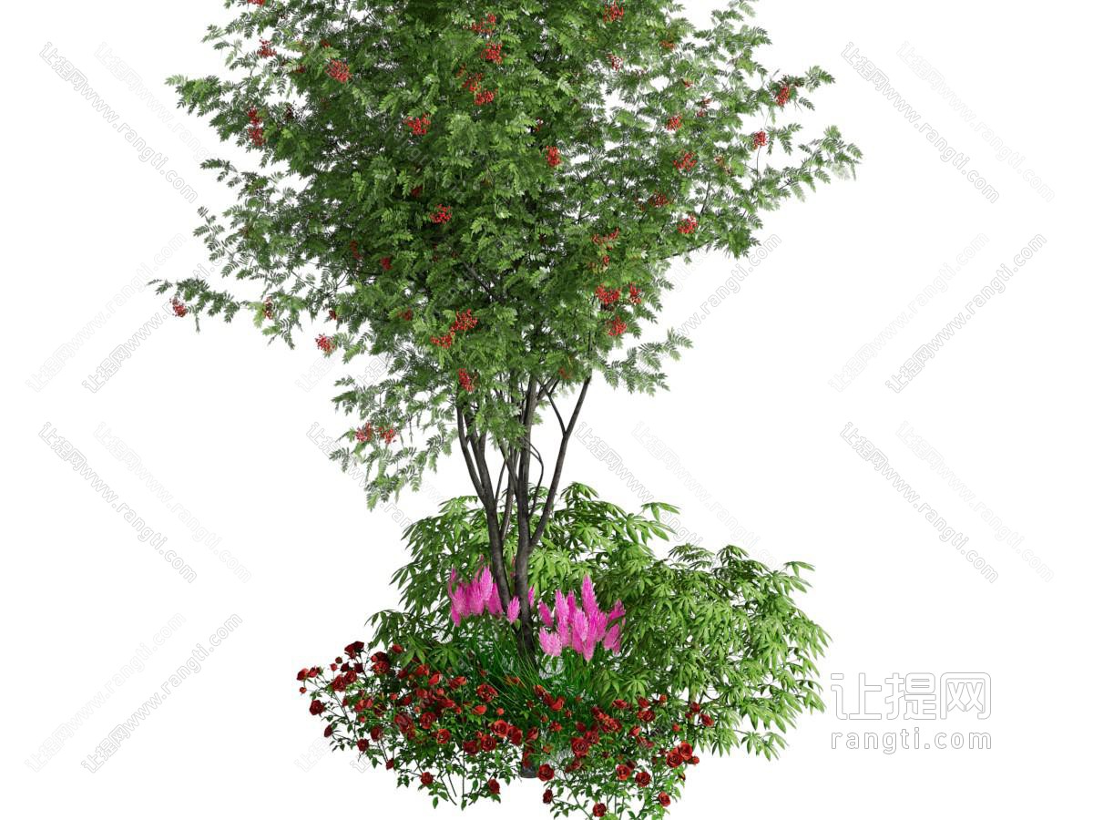现代花草花卉 景观树木