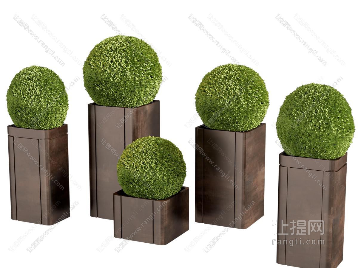 新中式花箱灌木盆景盆栽植物