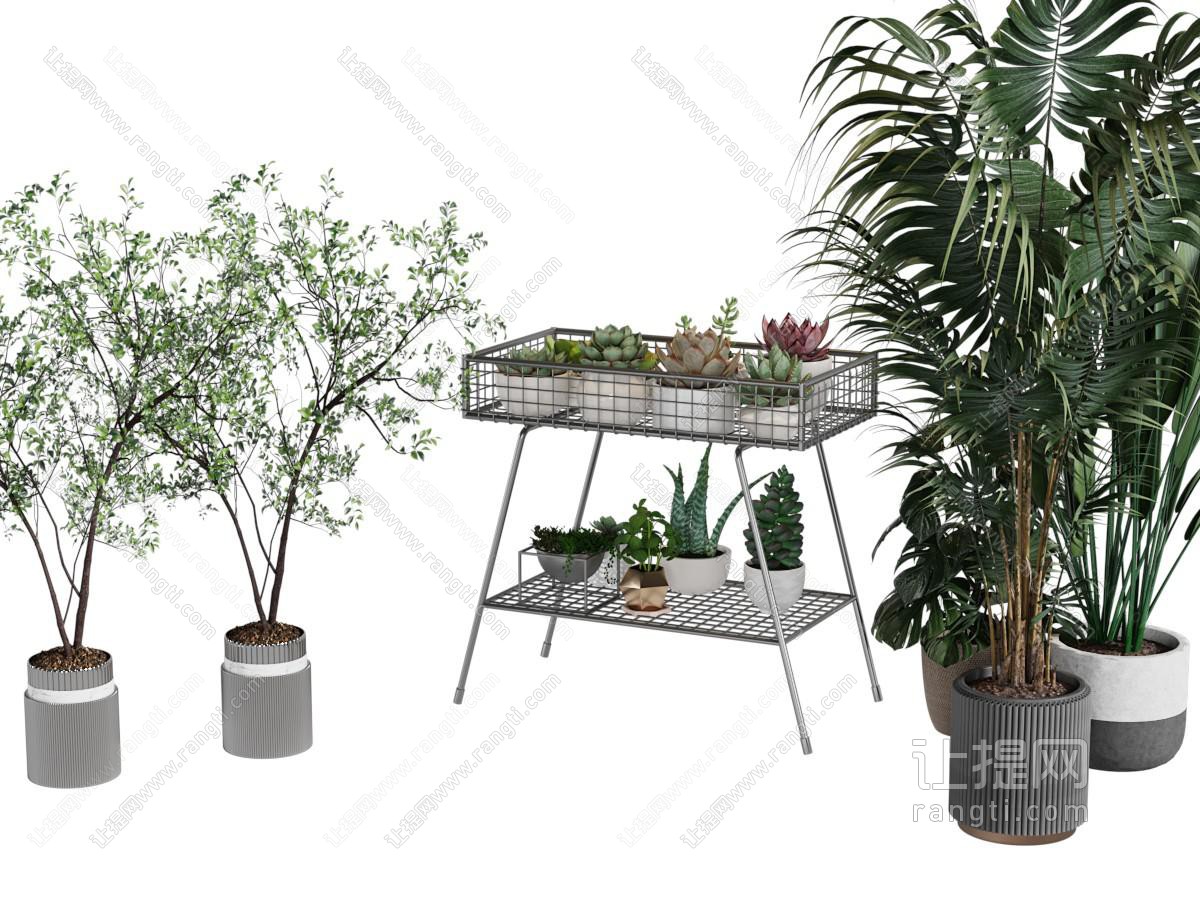 现代花盆盆景盆栽植物 花架