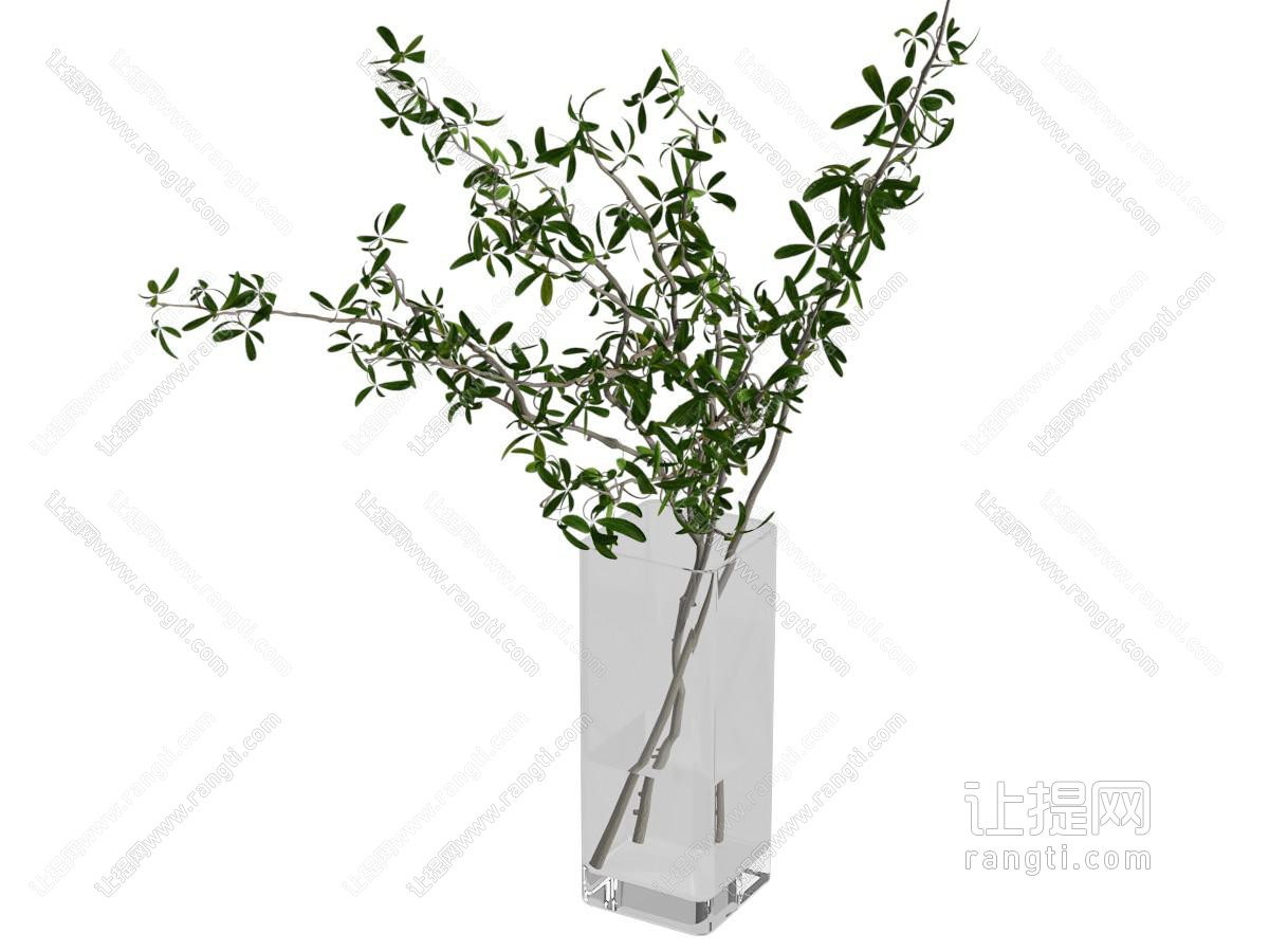 现代方形玻璃花瓶花卉