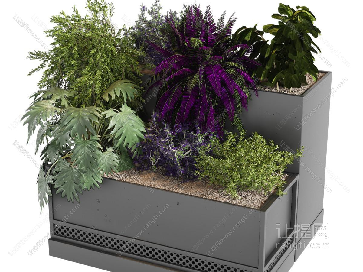 现代户外花箱盆景盆栽植物