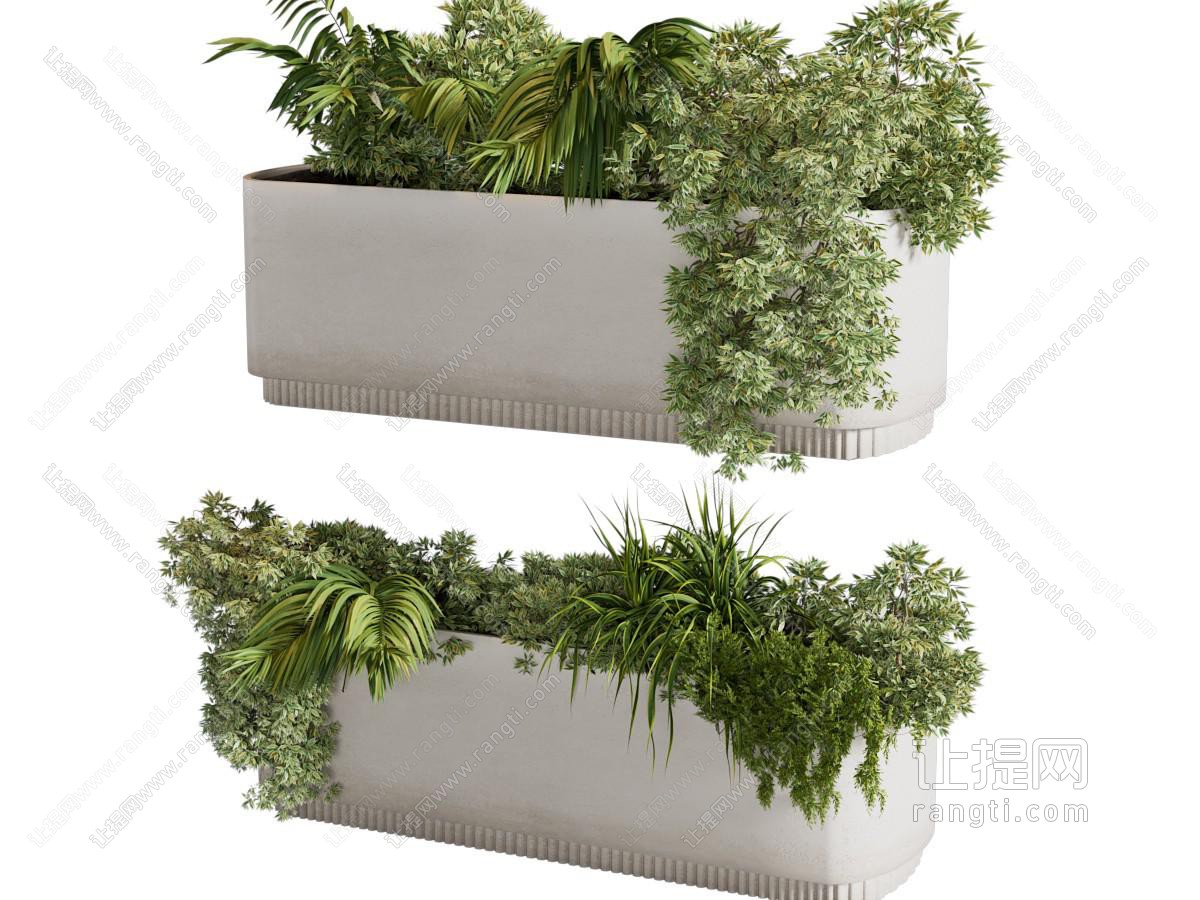 现代户外花箱花草盆景盆栽植物