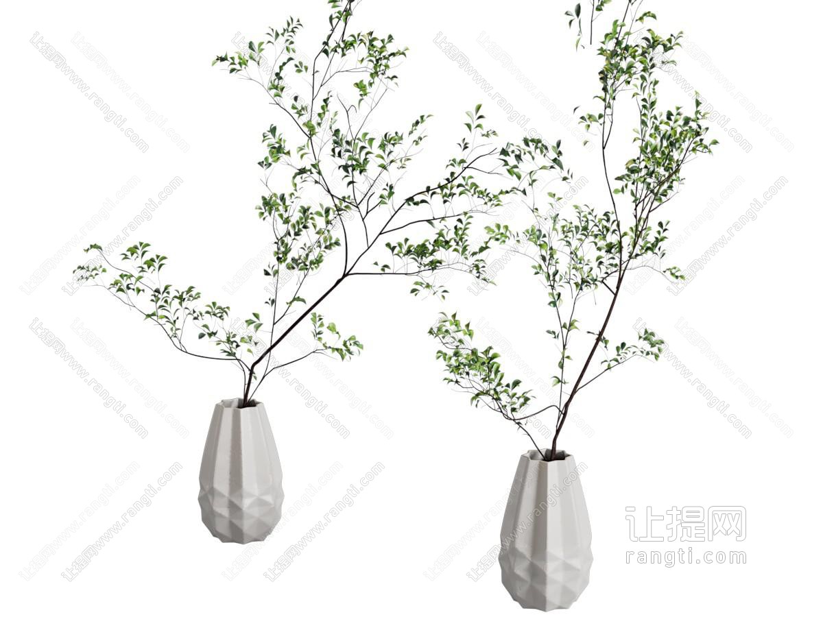 现代花瓶花卉