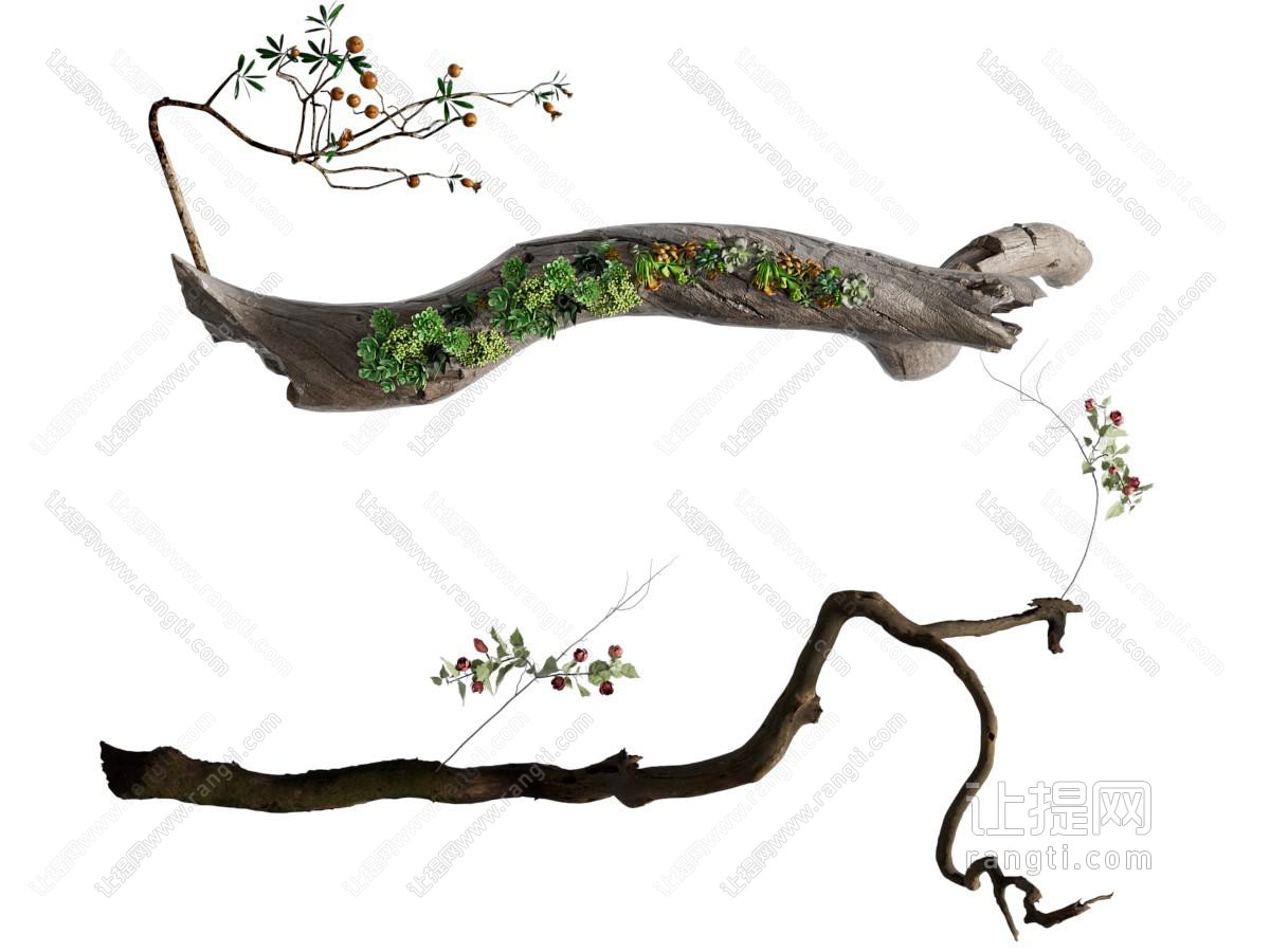 现代枯木多肉绿植摆件 旧木头 枯树