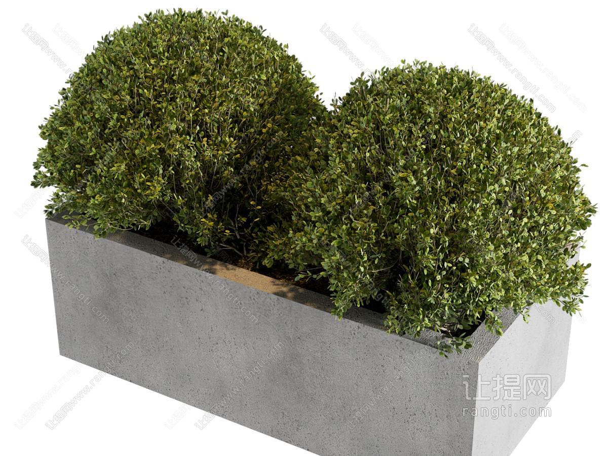 现代户外水泥花坛灌木盆景盆栽植物