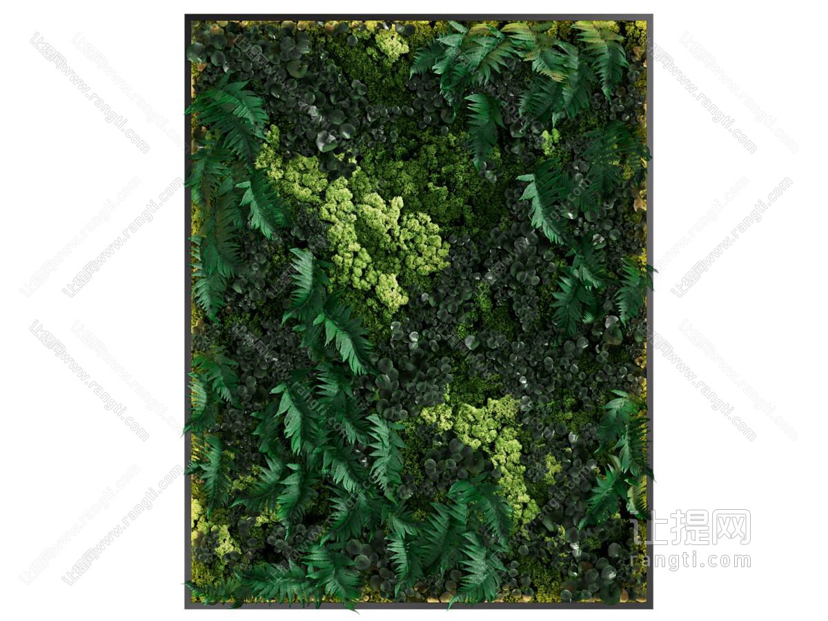 现代植物装饰挂画