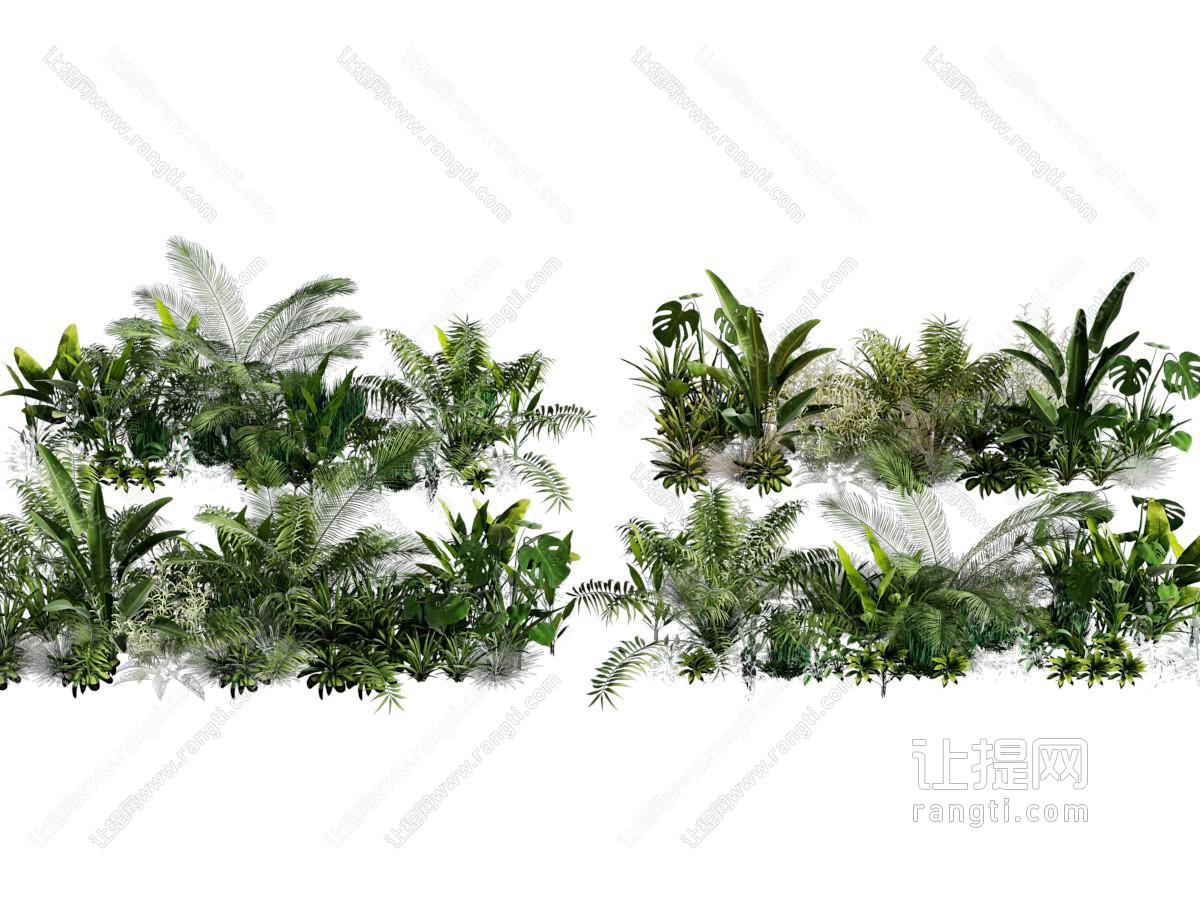 现代花草灌木植物