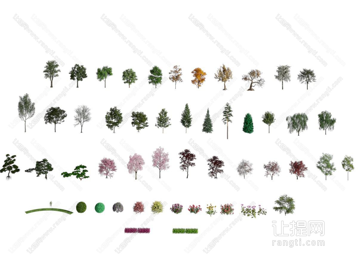 现代景观树木 花草植物