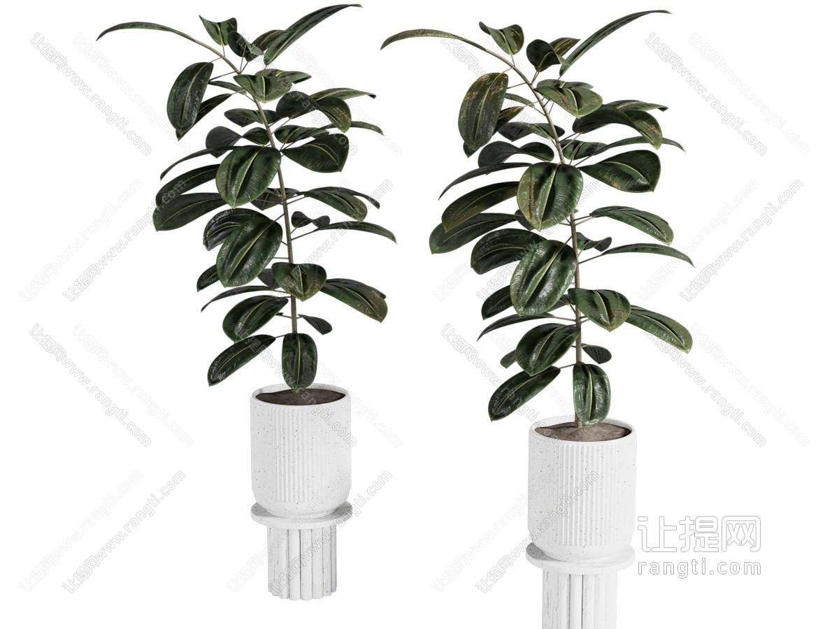 现代花盆盆景盆栽植物