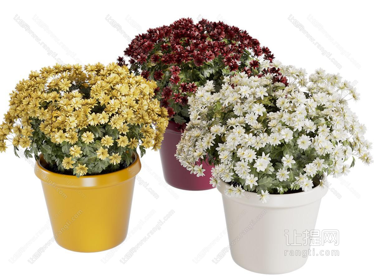 现代花盆花卉盆景盆栽