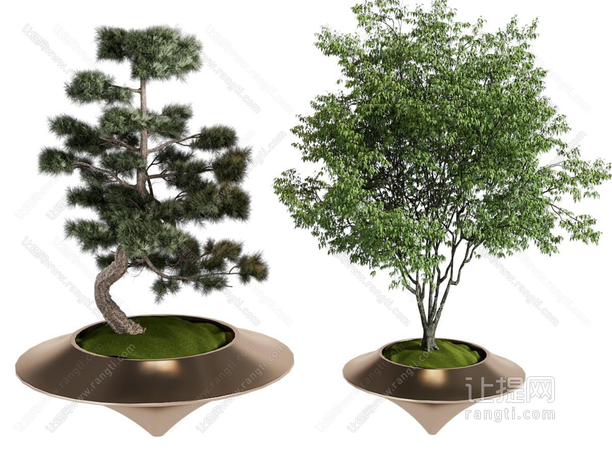 现代花坛花池景观树木