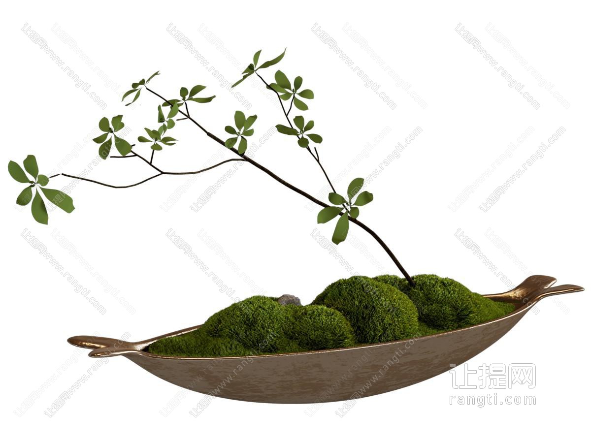 现代苔藓盆景盆栽植物