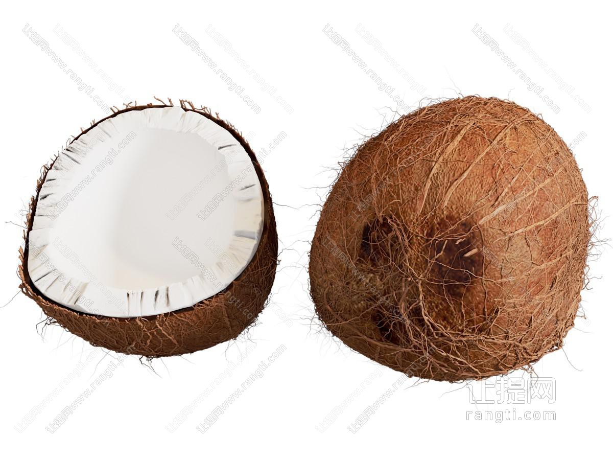 现代椰子 椰果 椰子壳