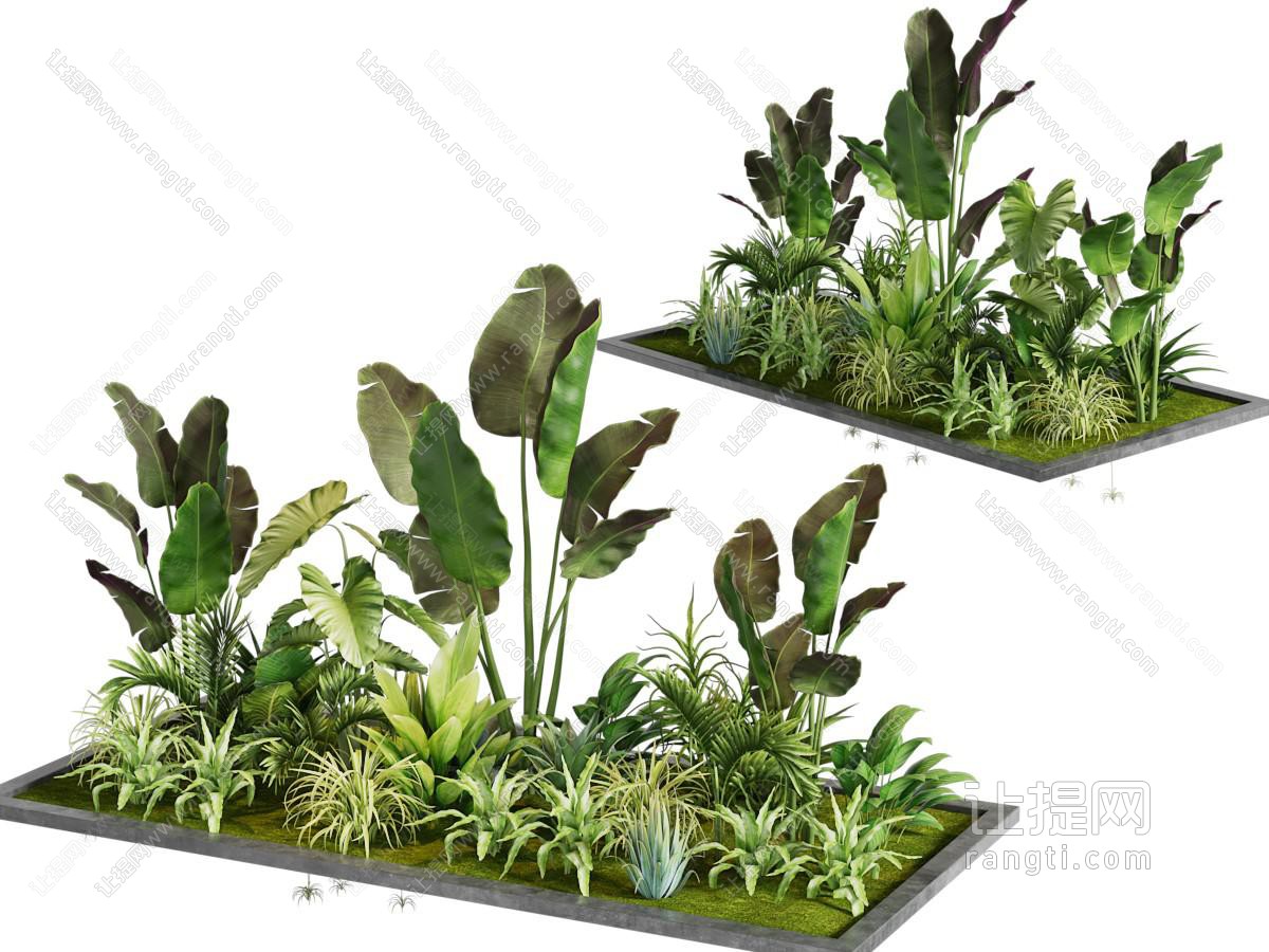现代花坛花卉花草植物盆景盆栽