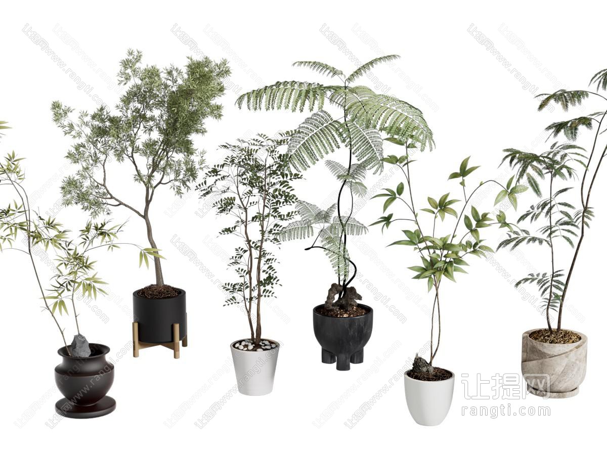 现代花盆盆景盆栽植物
