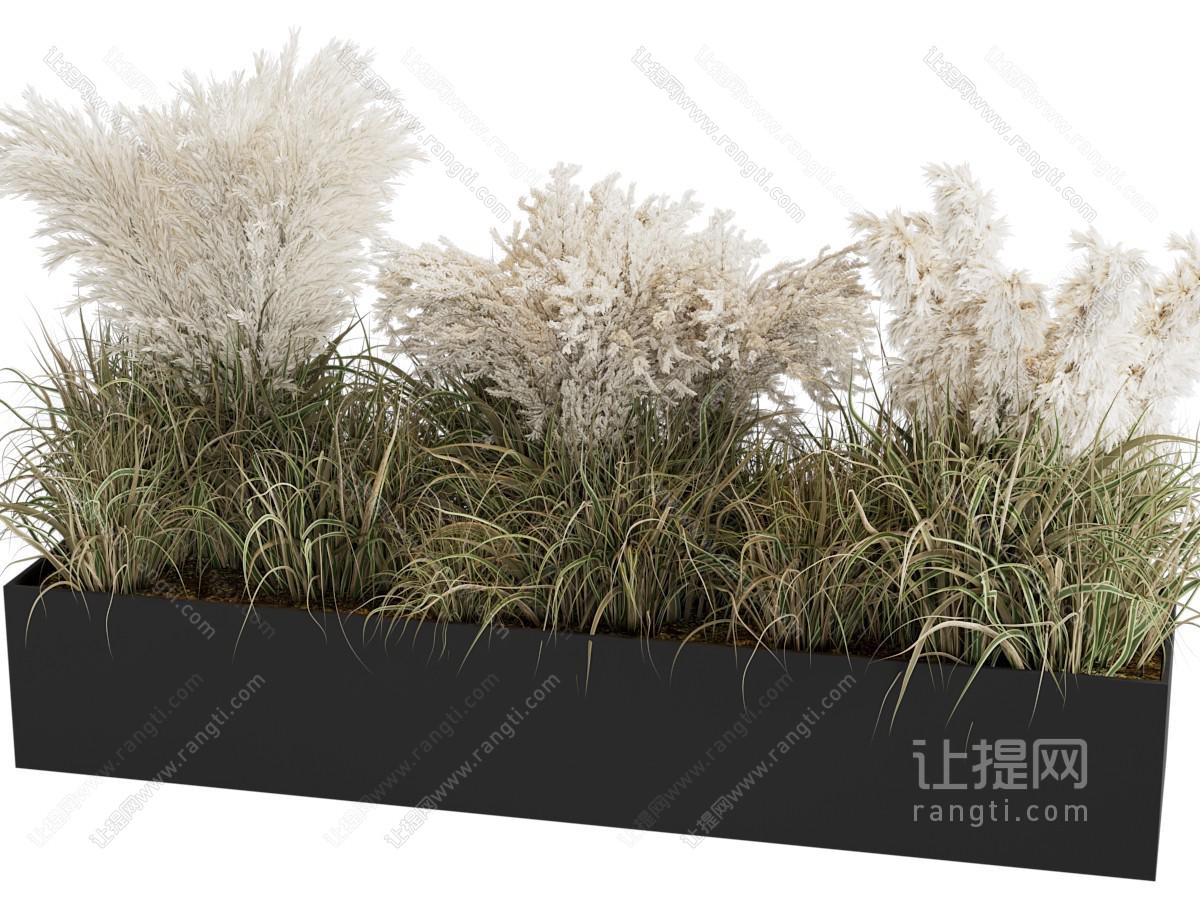 现代花箱花草植物盆景盆栽