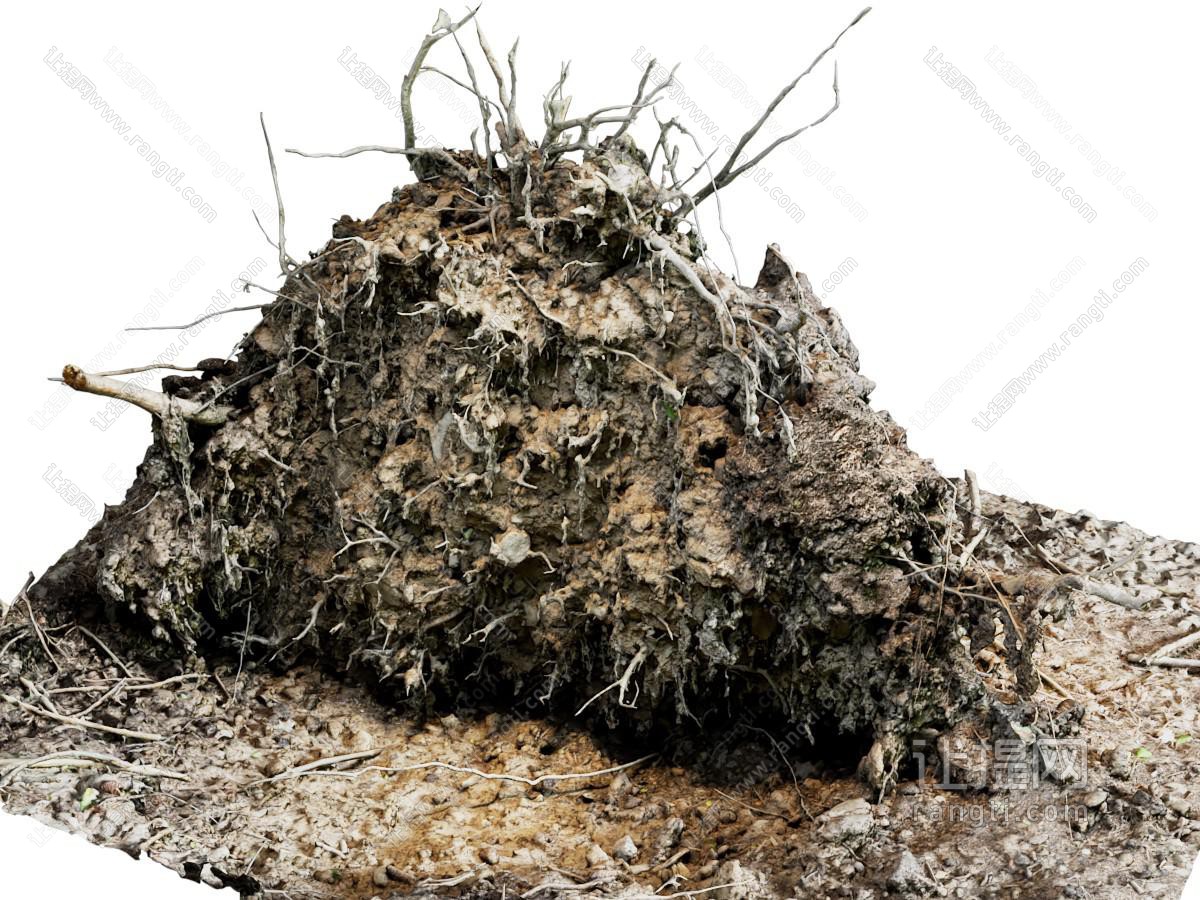 现代连根拔起倒下的树干 树根枯树