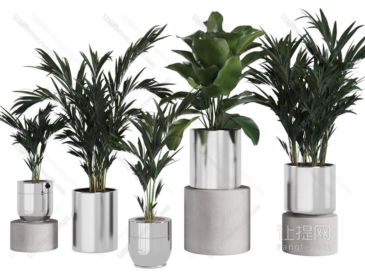现代花盆盆景盆栽植物