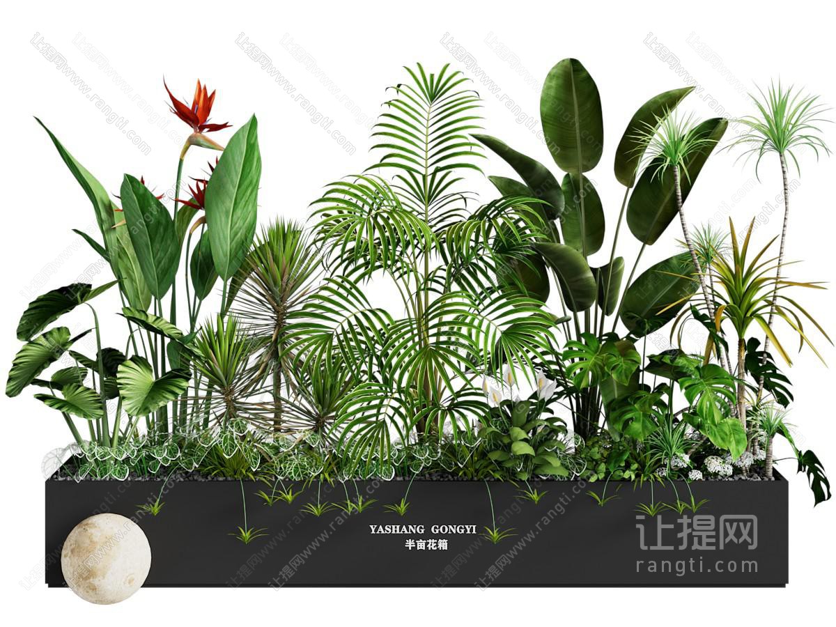 现代花箱植物盆景盆栽