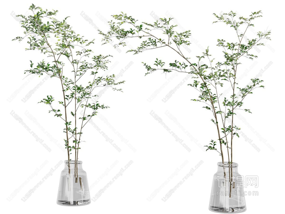 现代玻璃花瓶花卉