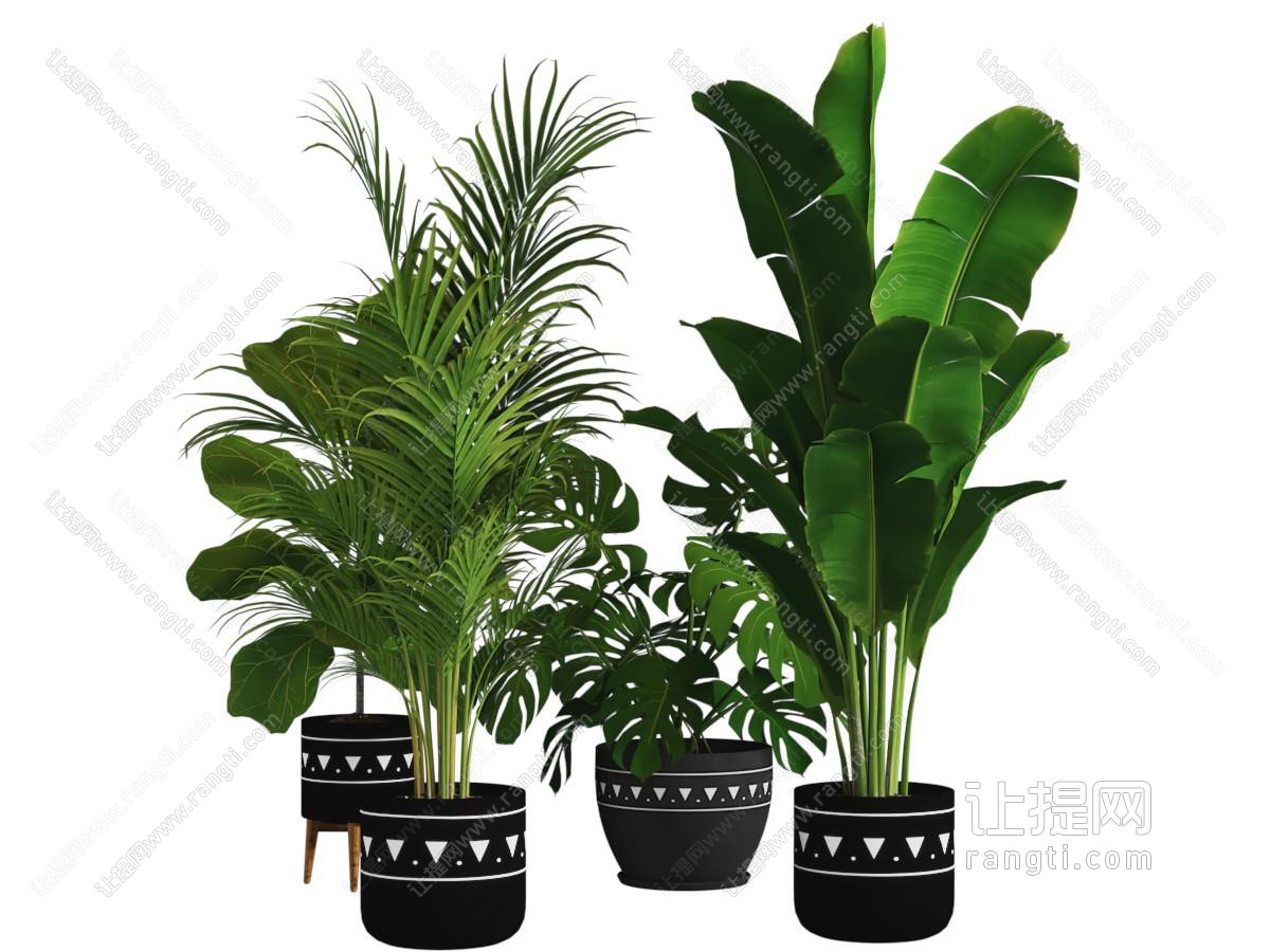 现代花盆盆景盆栽植物