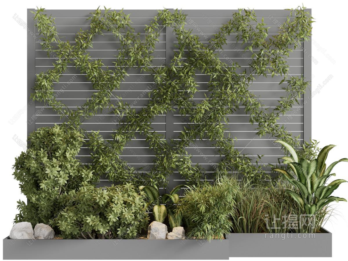 现代植物墙 花坛盆景盆栽植物