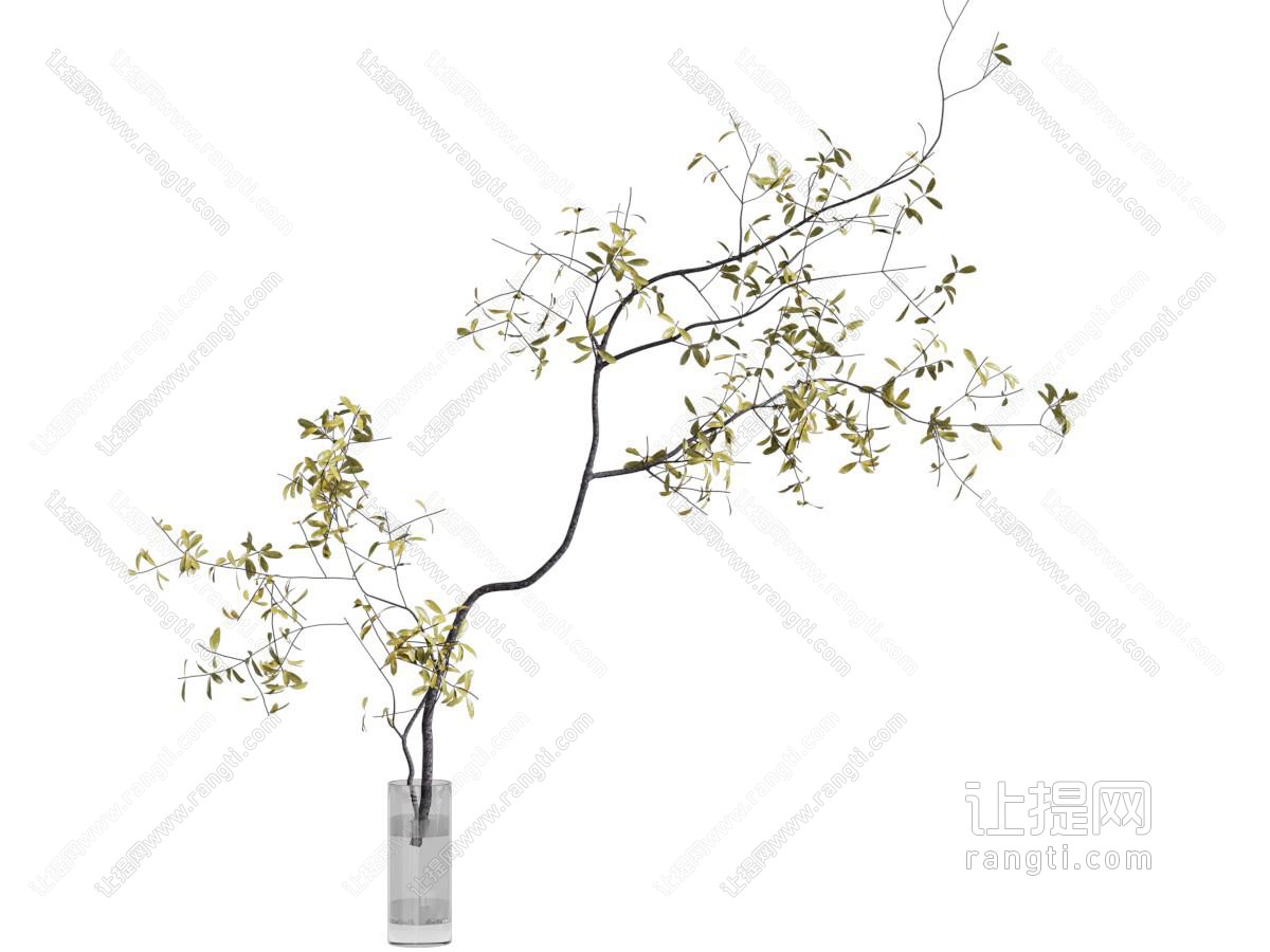现代玻璃花瓶花卉