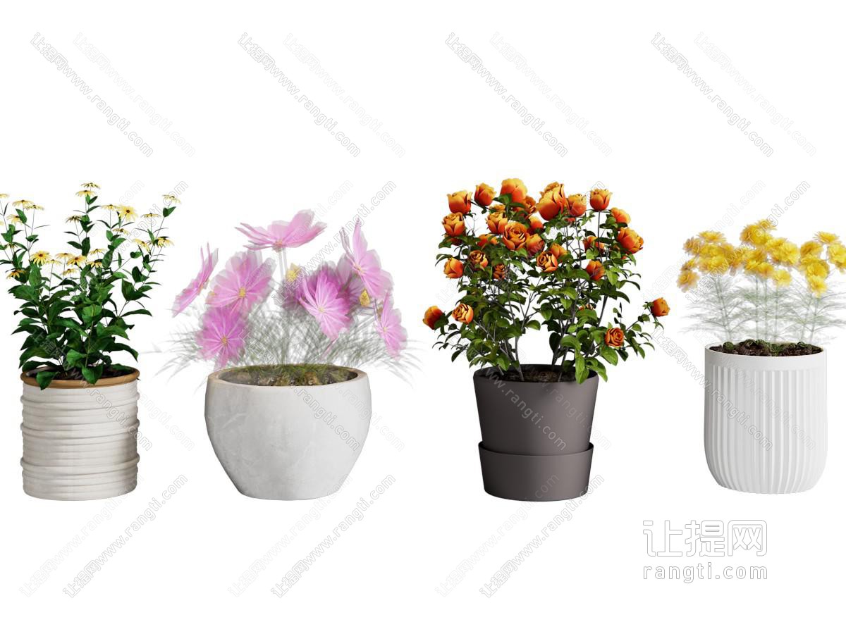 现代花盆盆景盆栽植物