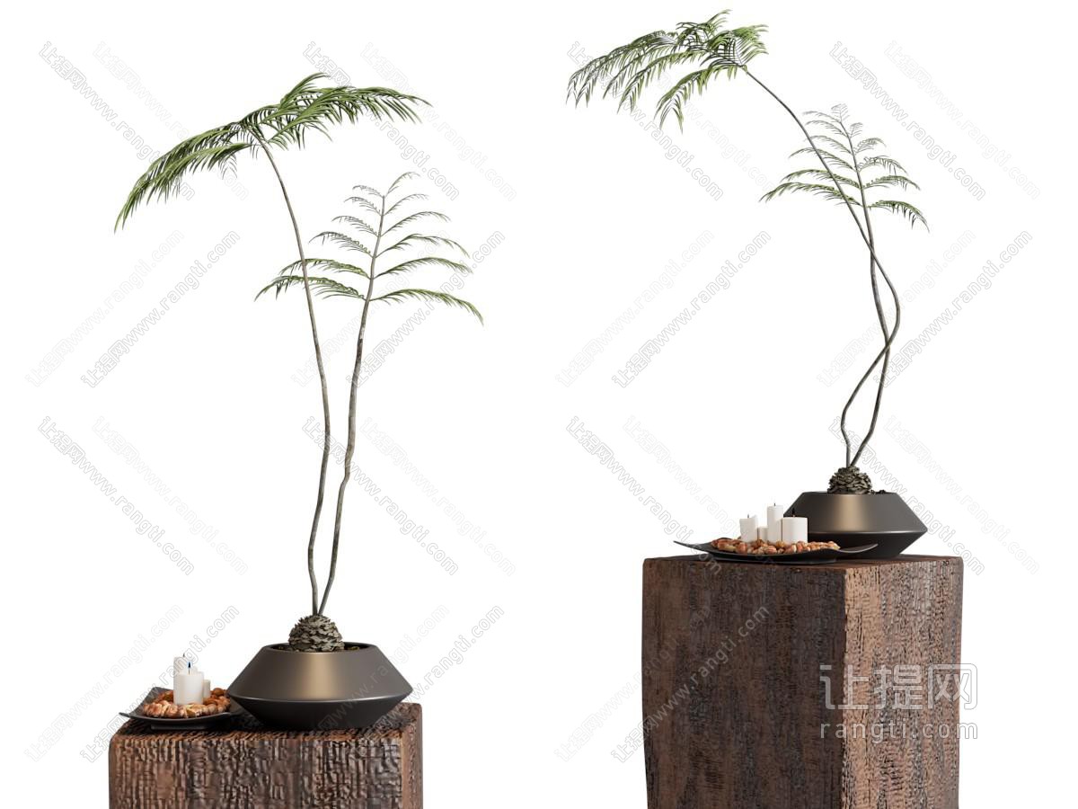侘寂风盆景盆栽 摆件组合