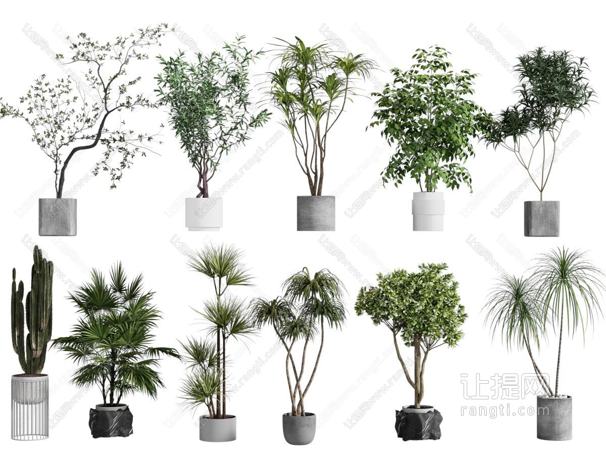 现代花盆盆景盆栽植物