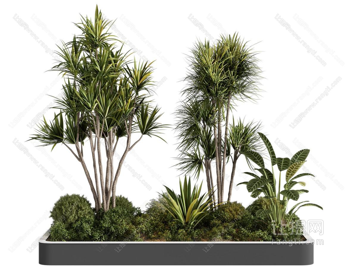 现代花坛花草树木植物盆景盆栽