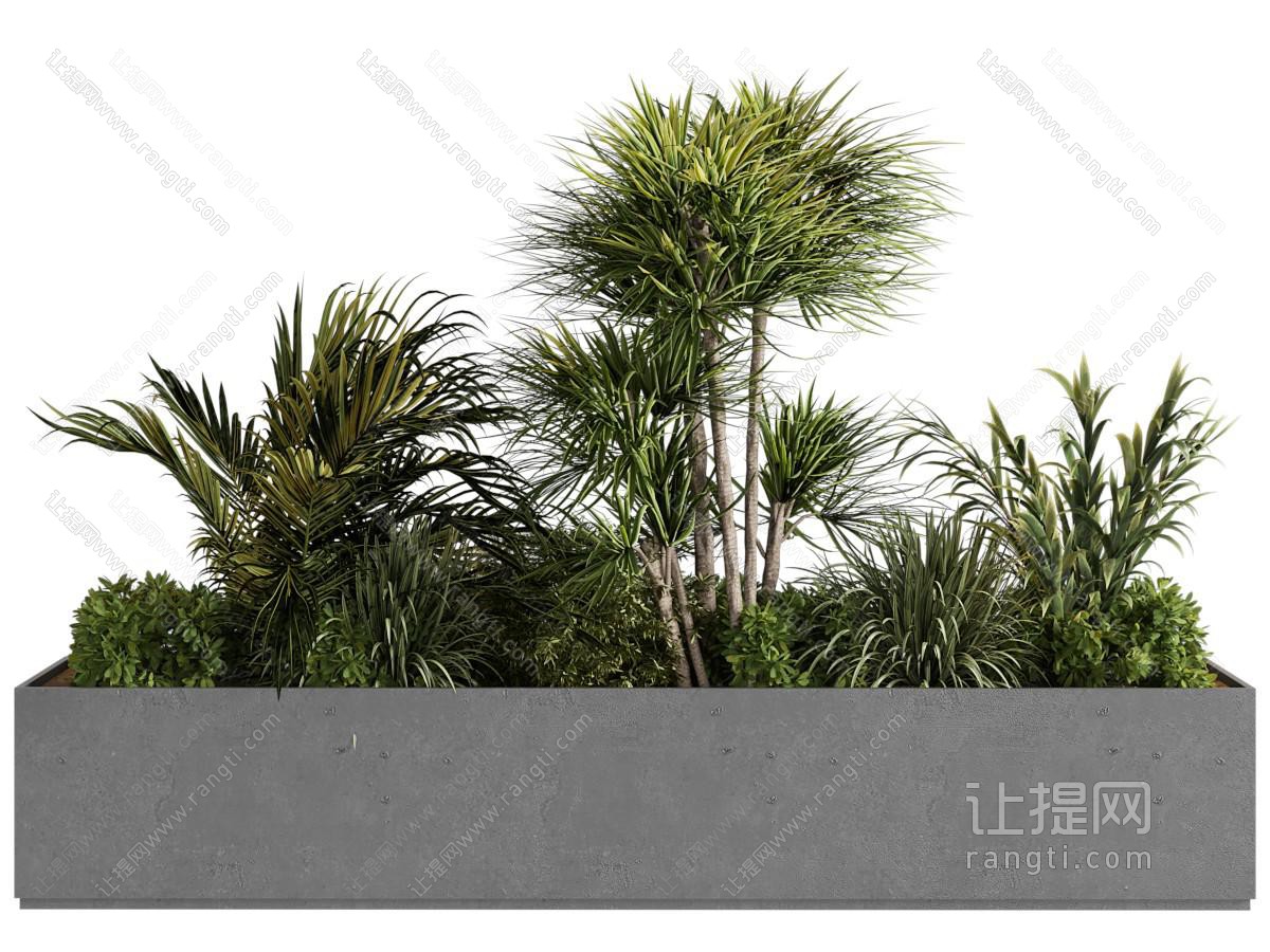 现代花坛花草植物盆景盆栽植物