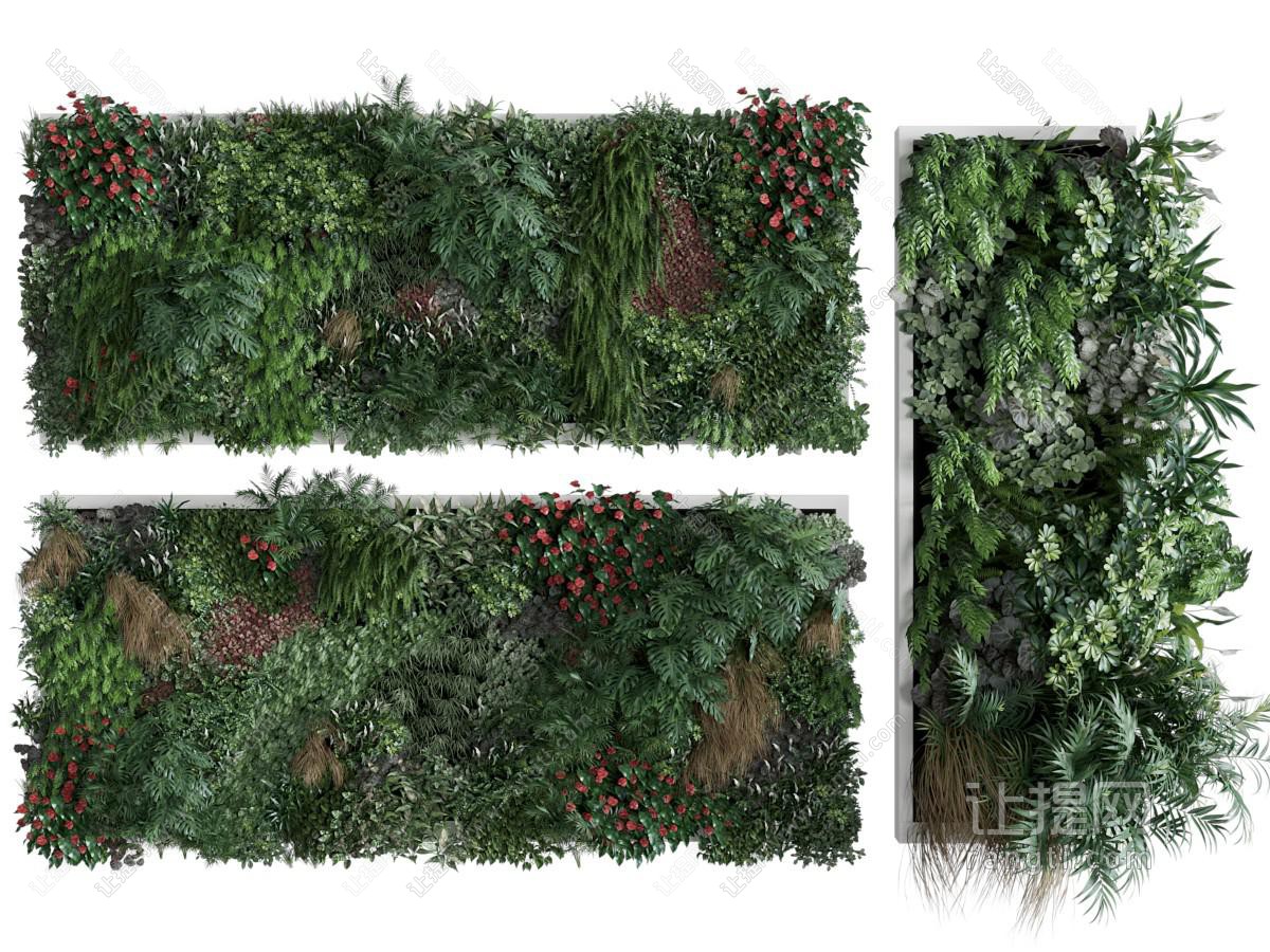 现代植物装饰挂画 植物墙