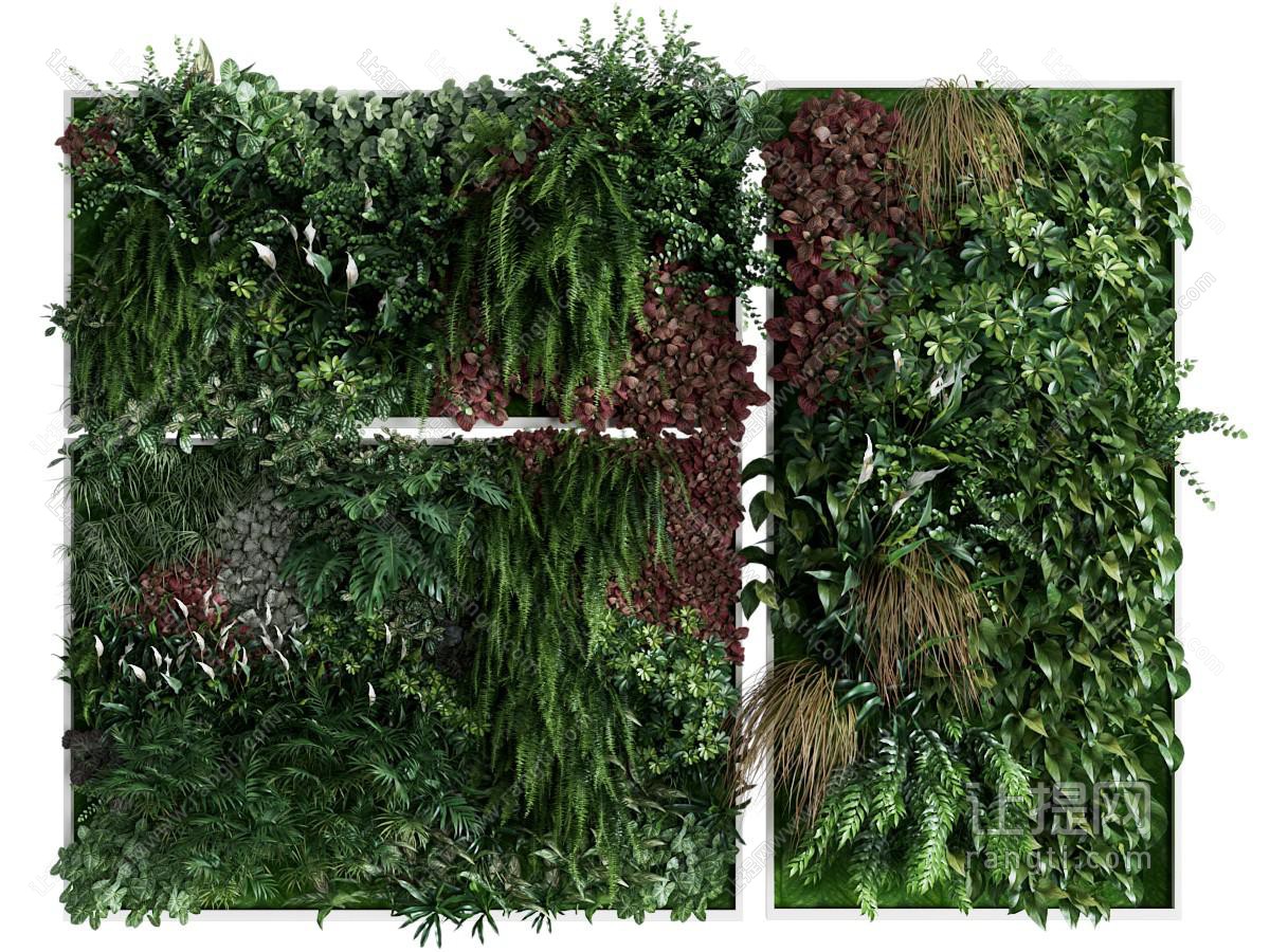 现代植物墙 植物挂画