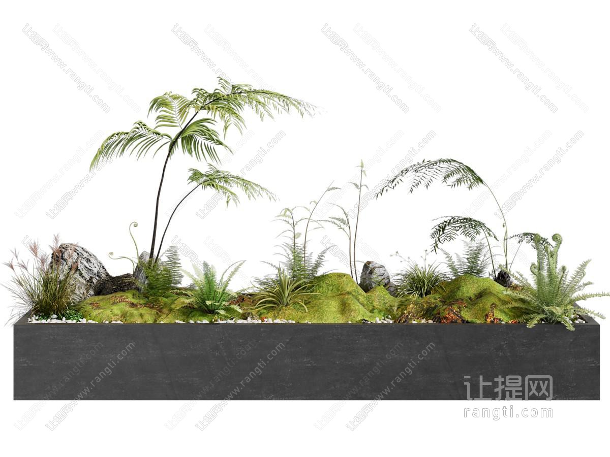 现代花坛植被 石头盆景盆栽植物