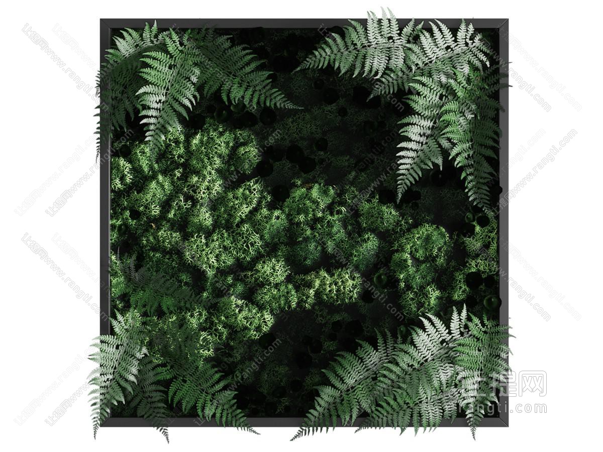 现代植物装饰挂画 植物墙