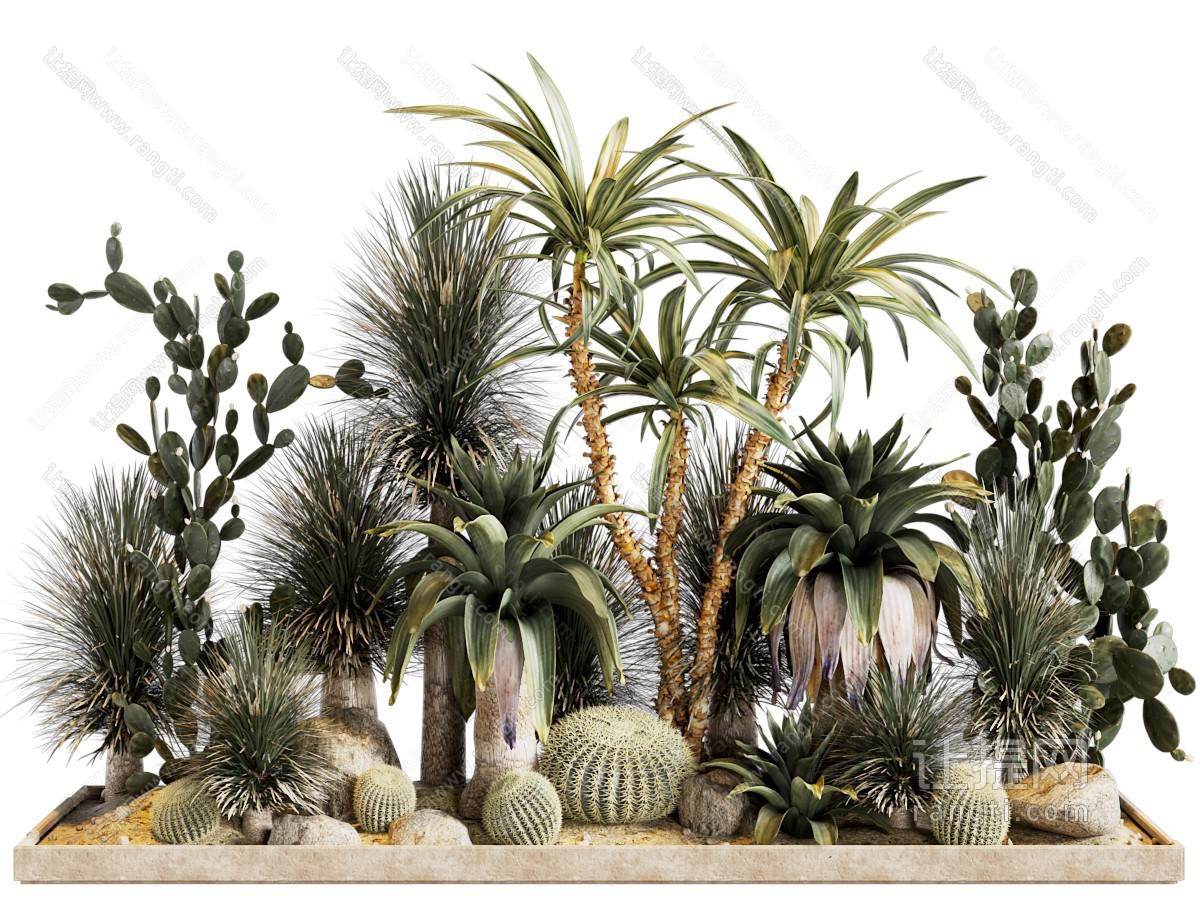 侘寂风花坛多肉 花卉植物景观园艺小品