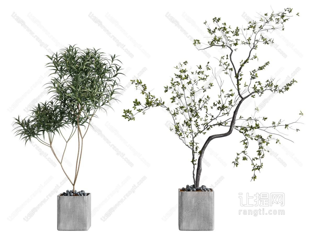 现代水泥花盆盆景盆栽植物