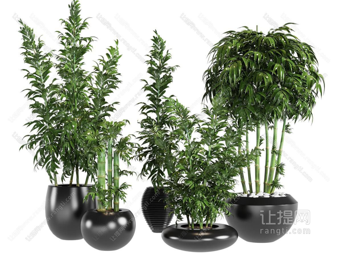 现代陶瓷花盆盆景盆栽植物
