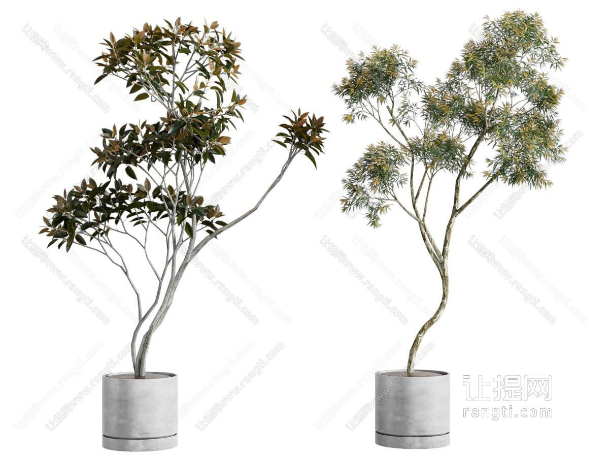 现代水泥花盆盆景盆栽植物