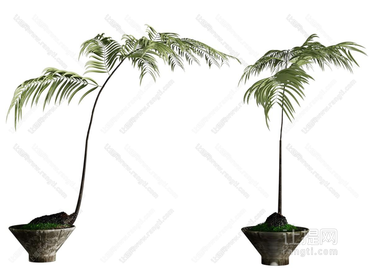新中式盆景盆栽植物