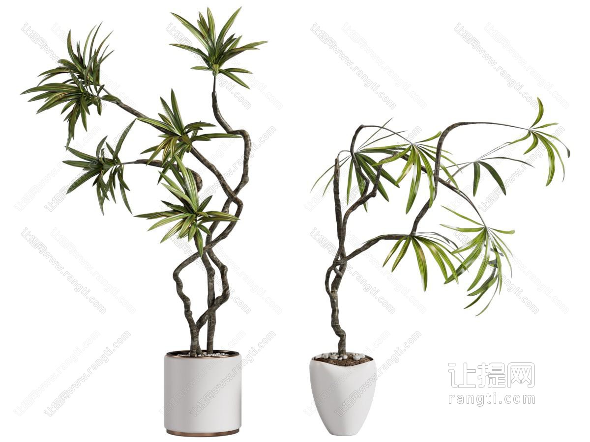 现代陶瓷花盆盆景盆栽植物