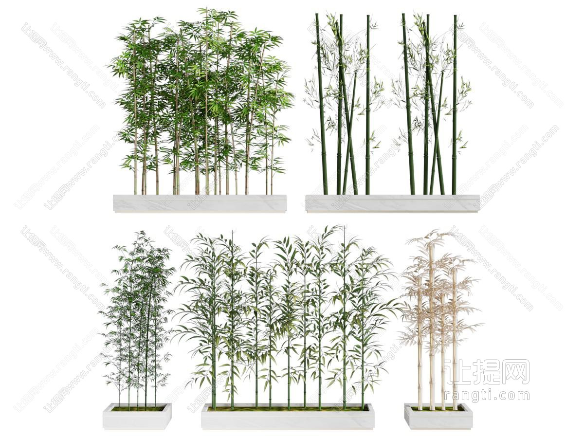 新中式花坛竹子 隔断