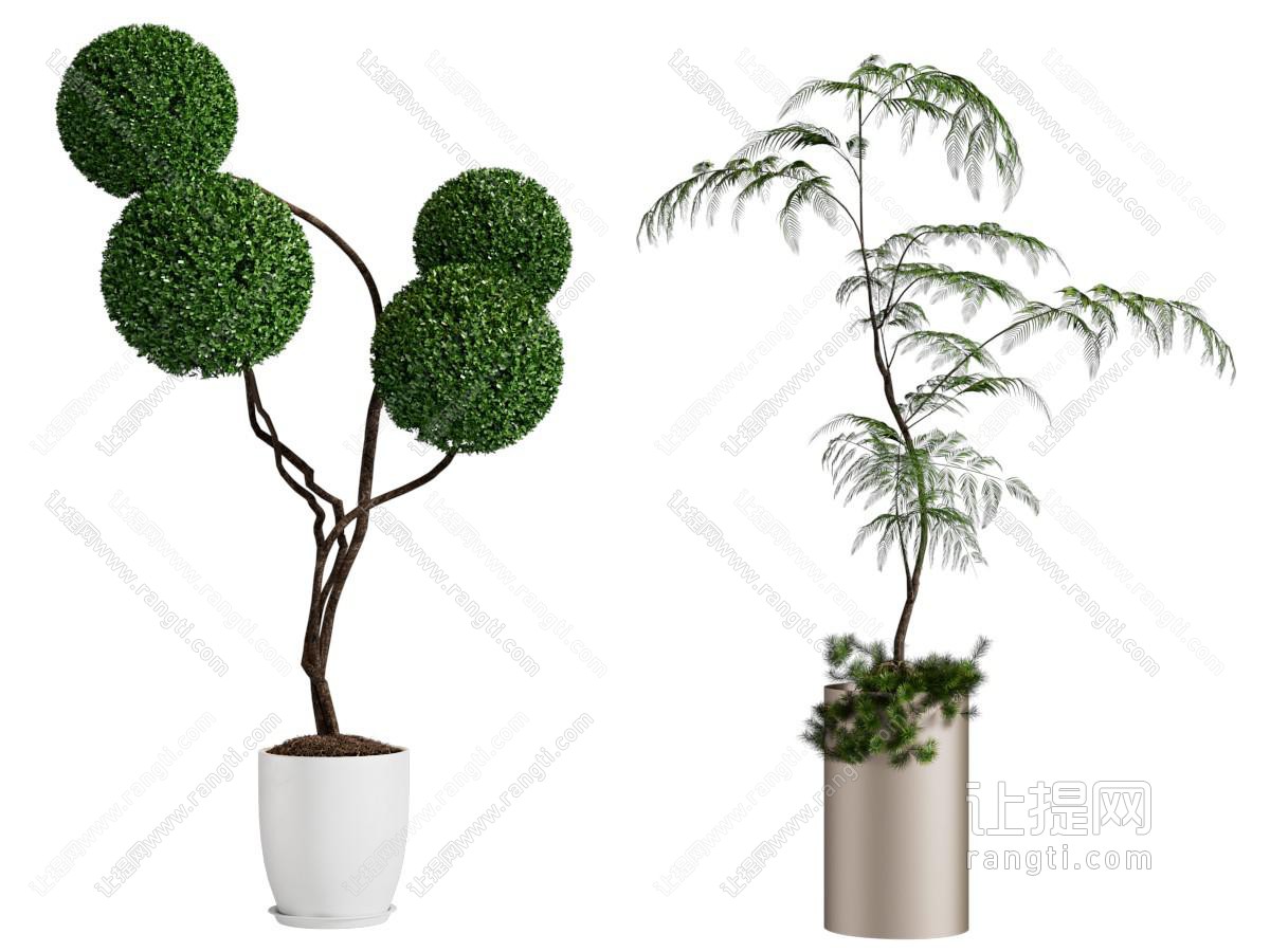 现代花盆盆景盆栽植物