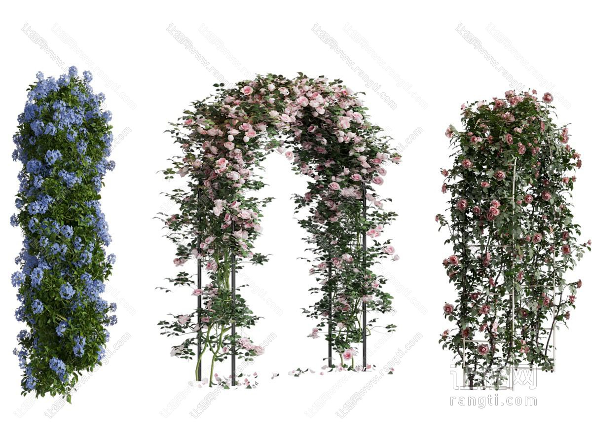 现代花架 拱形门 藤蔓绿植门拱