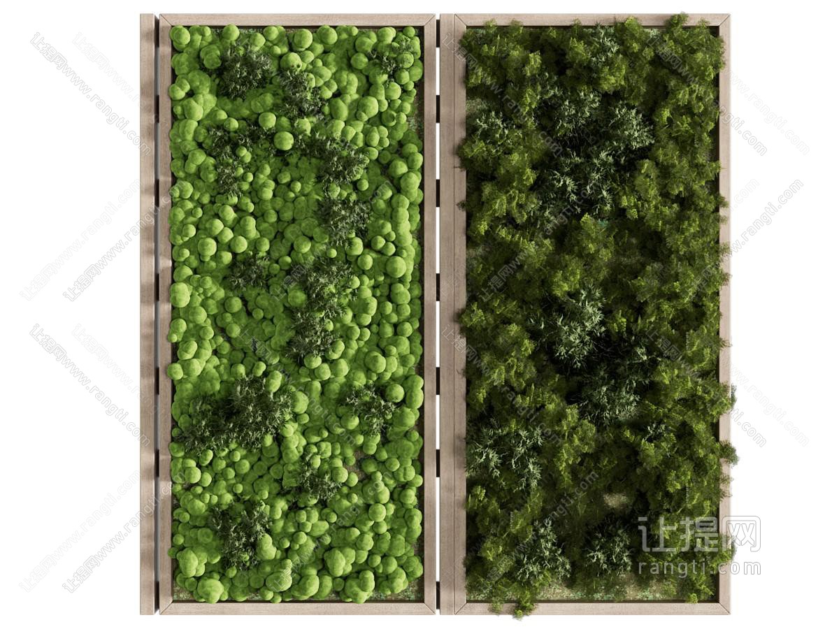 现代植物装饰挂画 植物墙