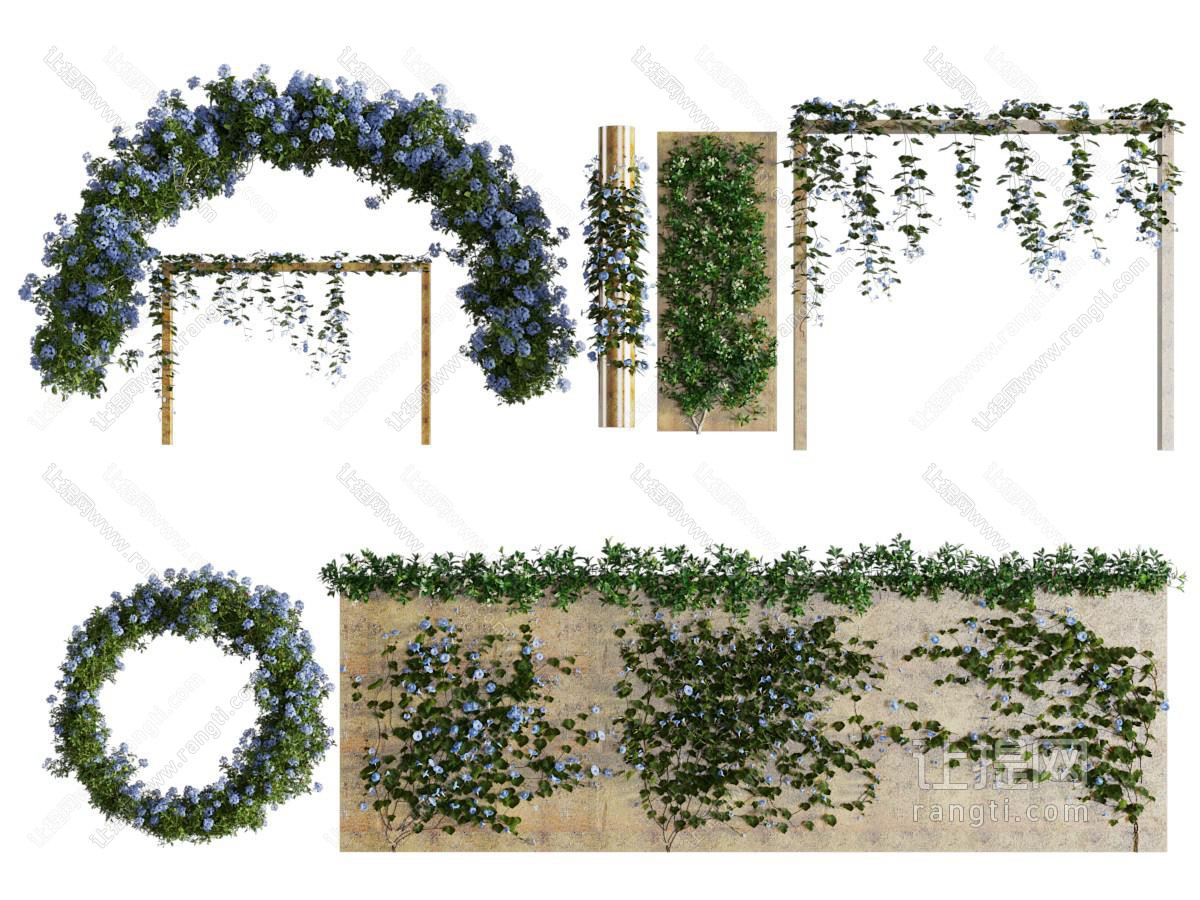 现代藤蔓植物 花架 植物墙